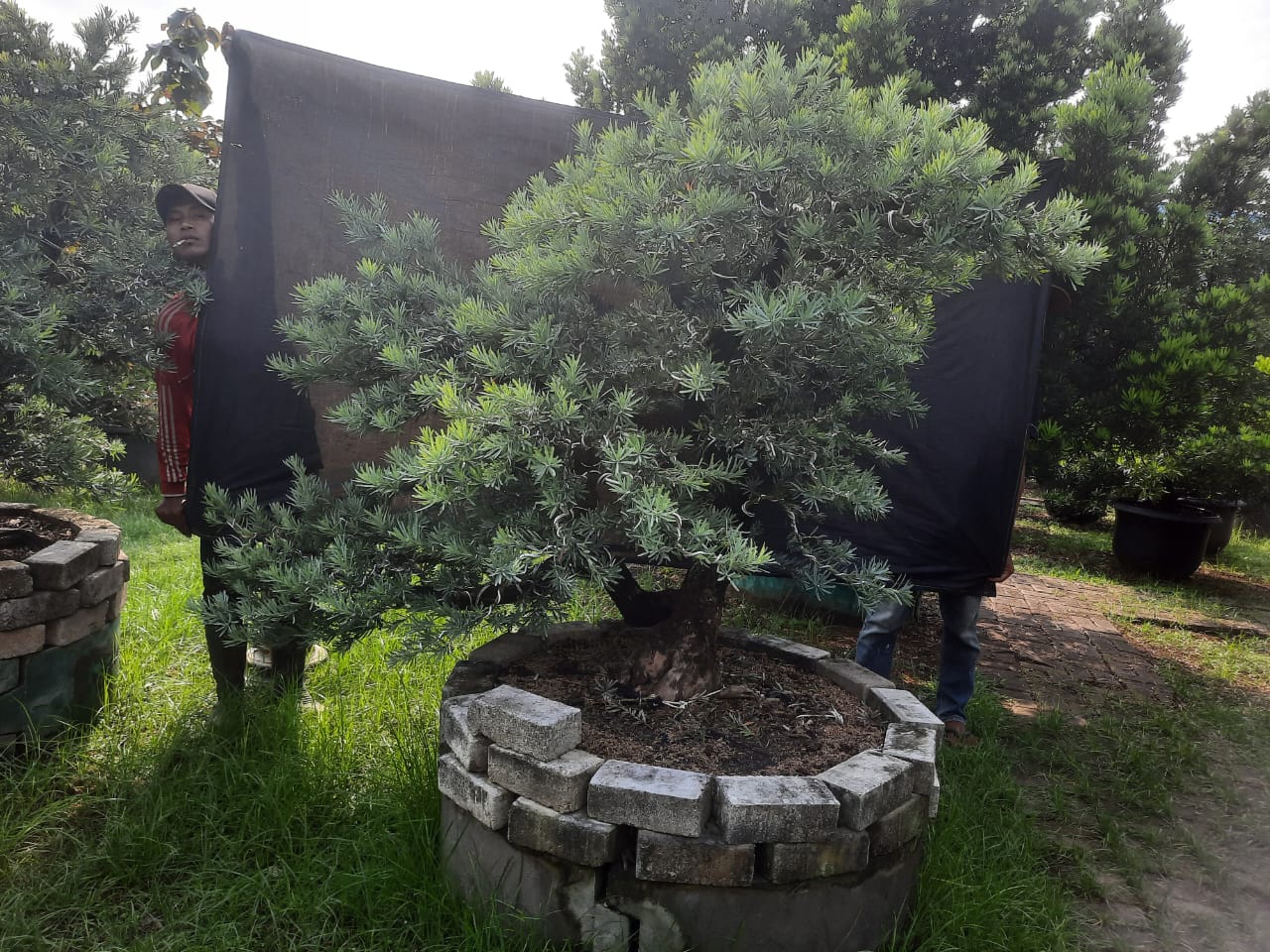 WhatsApp Image 2025-11-21 at 17.32.41 (1)